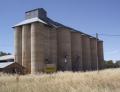 Hopefield silos, near Corowa, Jan 2013