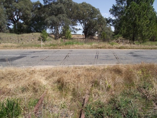 Burrumbuttock road crossing (Corowa branch) Oct 2015