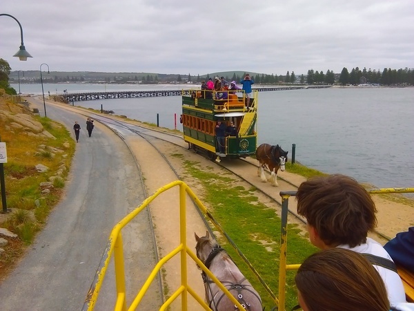 Victor Harbour - Horse drwn trams, passing each other