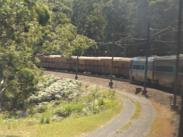 Freight train passing Xplorer DMU, between Sydney and Broadmeadow, 2019-03-08