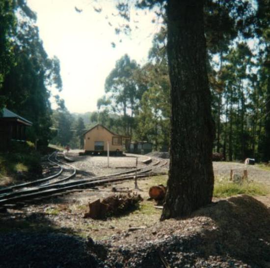 Menzies Creek, 1990s