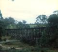 Curved trestle bridge on Orbost line, late 1980s