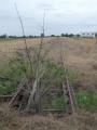 Corowa, just north of end of rail trail, Oct 2011