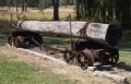 Tatong, logging tramway log truck, Jan 2012