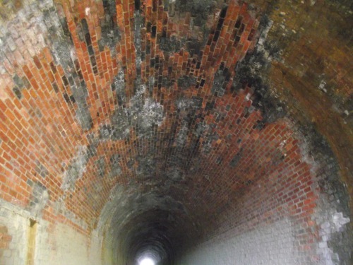 Cheviot Tunnel, internal brickwork, Sept 2013