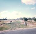 Woodleigh Station site looking towards Nyora