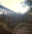Wooden trestle bridge, Orbost line, late 1980s