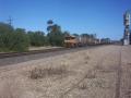 Melbourne bound freight - 2xNR 1xDL class locos